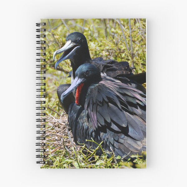 Item preview, Frigatebirds in Love designed and sold by Catherine Sherman.