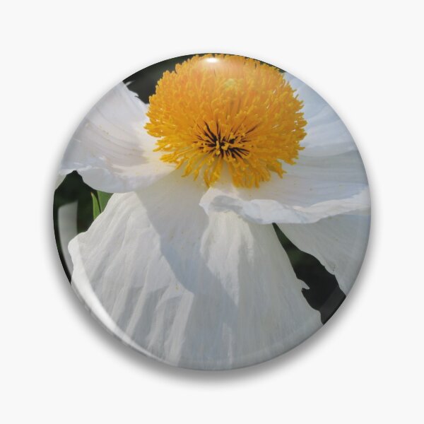 Item preview,  Tree  Poppy - Romneya coulteri  designed and sold by lezvee.