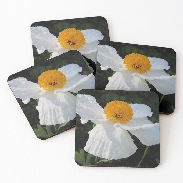 Item preview,  Tree  Poppy - Romneya coulteri  designed and sold by lezvee.