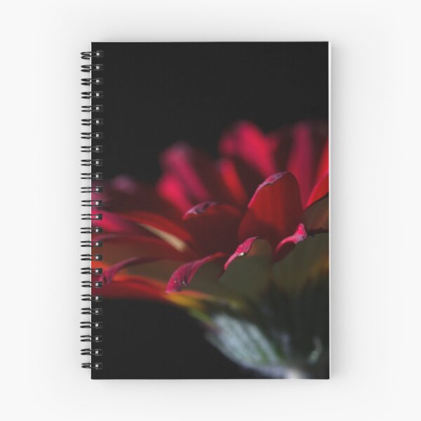 Item preview, Reaching Out designed and sold by Steve Purnell Photography.