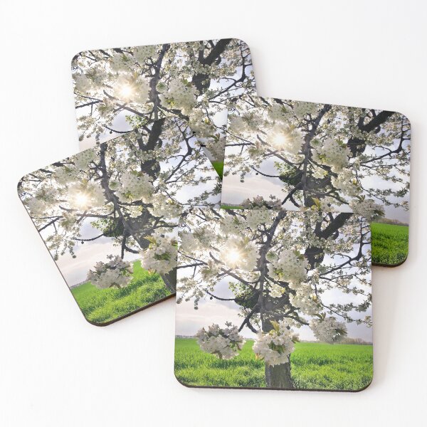 Item preview, Cherrie Sun designed and sold by Steffen Gierok.