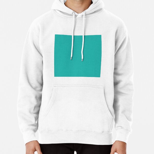 Sea green colour discount hoodie