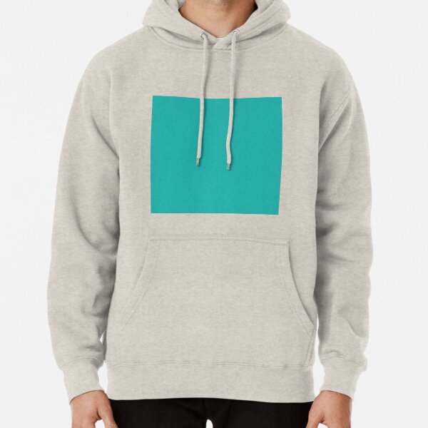 sea green hoodie