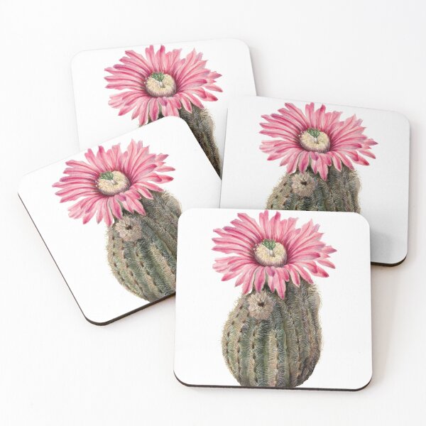 Item preview, Vintage Turkeyhead Cactus  designed and sold by JoyforU.