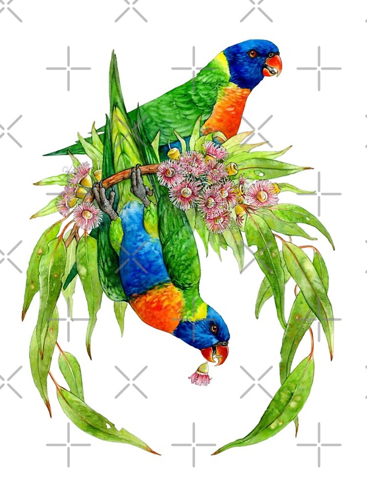 Rainbow Lorikeets by antarcticpip
