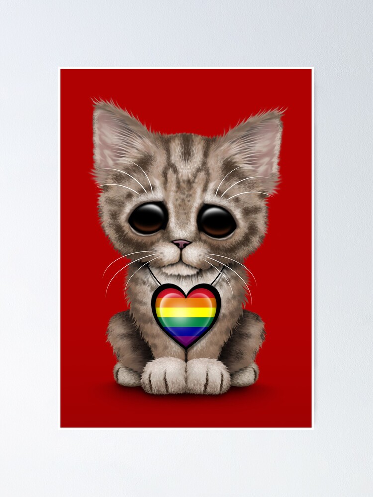 rainbow gay pride kitten