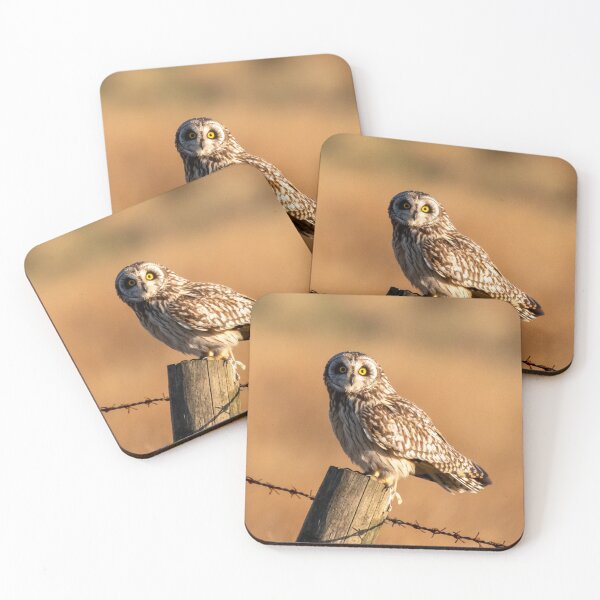 Item preview, short eared owl designed and sold by tammy mellor.