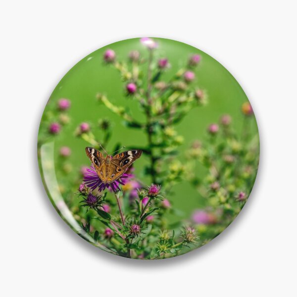 Item preview, Common Buckeye On Purple Aster designed and sold by mljdwhite.
