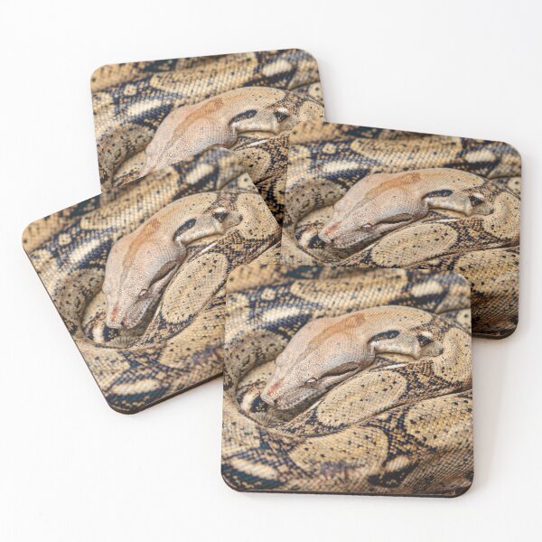 Item preview, Beautiful pattern of an Indian Python designed and sold by Dalyndigital Photography.