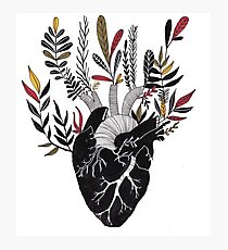 Floral Heart Photographic Print