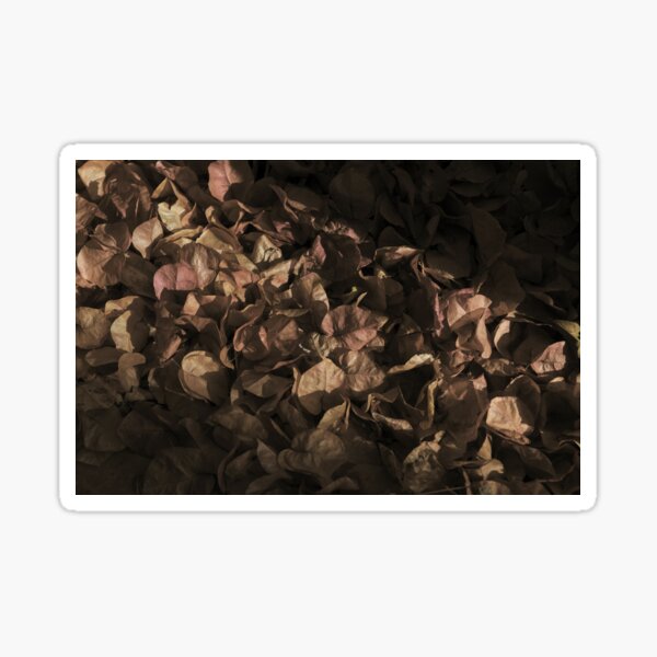 Item preview, Fallen Bougainvillea Flowers designed and sold by AngeloDeVal.