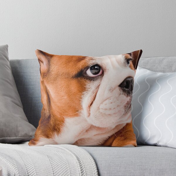 Aperçu de l'œuvre conception de chien créée et vendue par Rexoto.