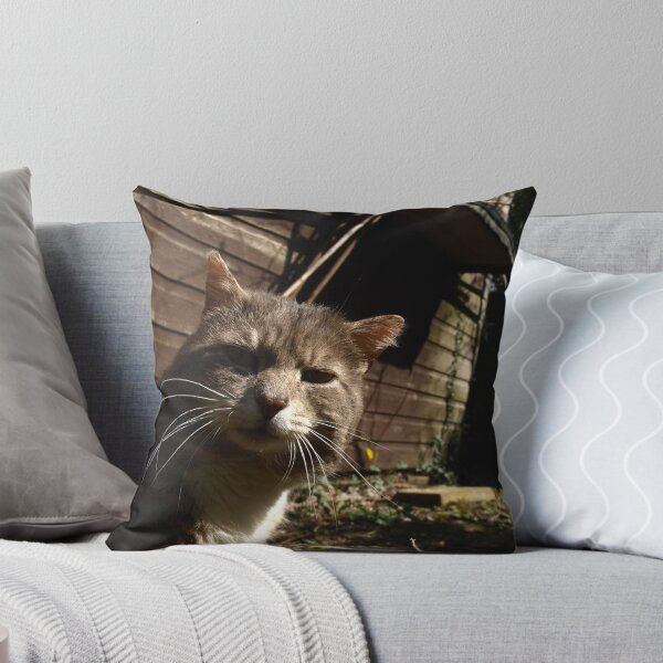 Item preview, Behind the garden shed designed and sold by turniptowers.