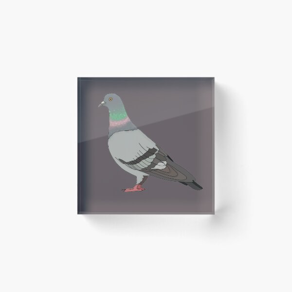 Item preview, pigeon walk 2020, grey background designed and sold by Naty Design Prague.