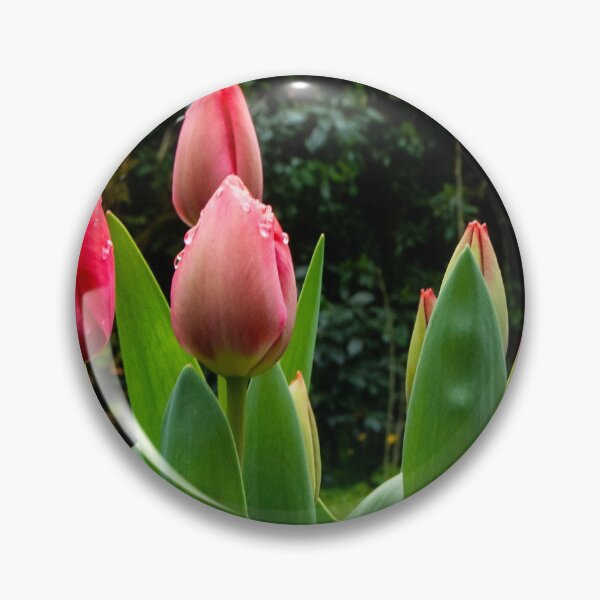 Item preview, Tulip time is round the corner designed and sold by jchanders.