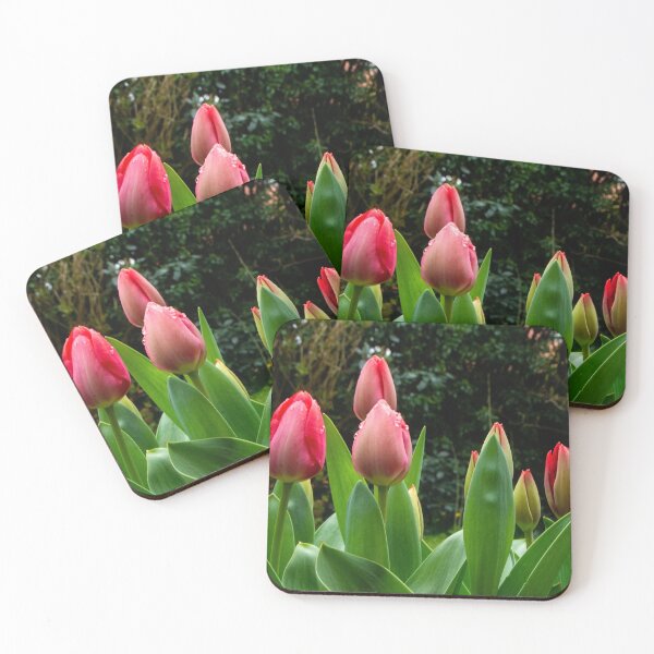 Item preview, Tulip time is round the corner designed and sold by jchanders.
