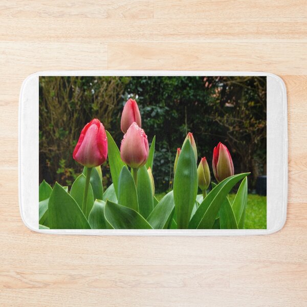 Item preview, Tulip time is round the corner designed and sold by jchanders.