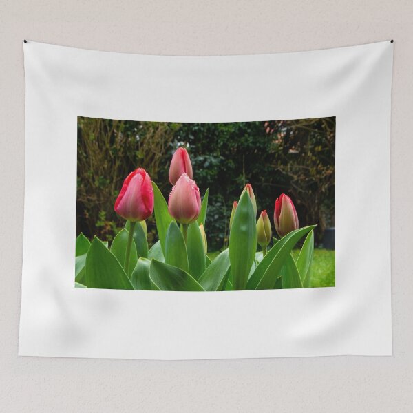 Item preview, Tulip time is round the corner designed and sold by jchanders.