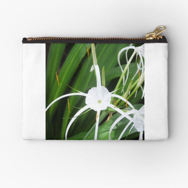 Zipper Pouch