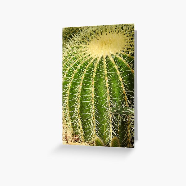 Greeting Card