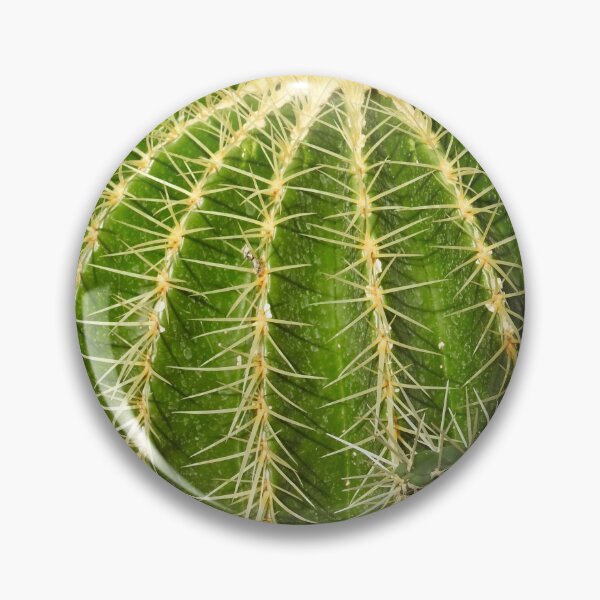 Pin Button