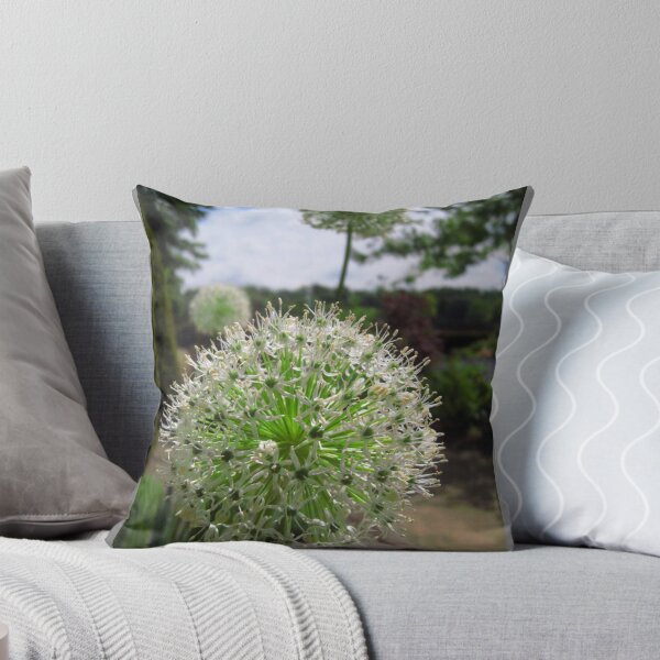 Item preview, Allium flowers in the walled garden. designed and sold by Yorkspalette.