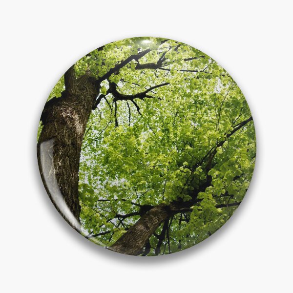 Pin Button