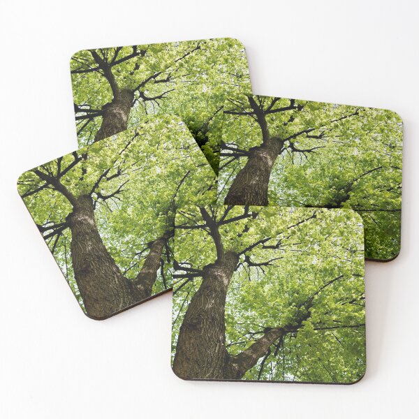 Coasters