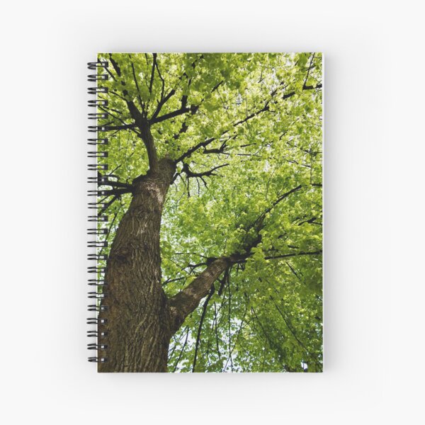 Spiral Notebook