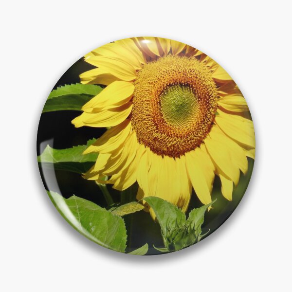Pin Button