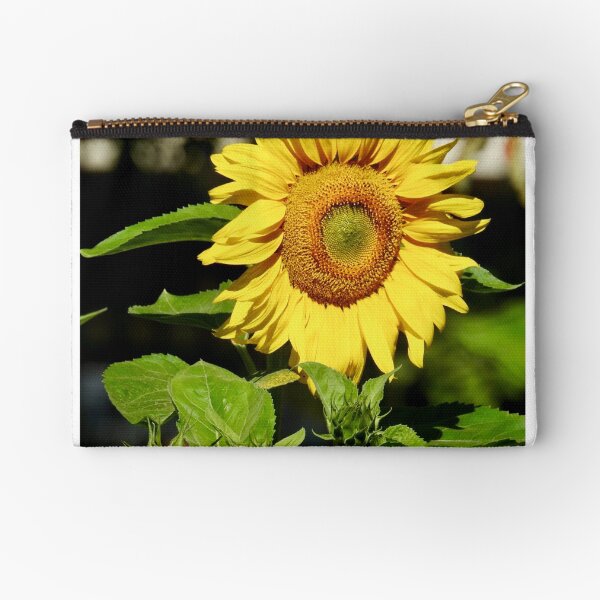 Zipper Pouch