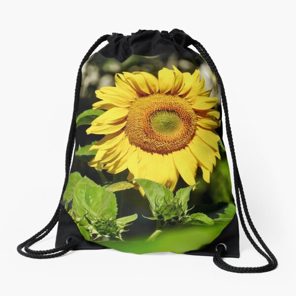 Drawstring Bag