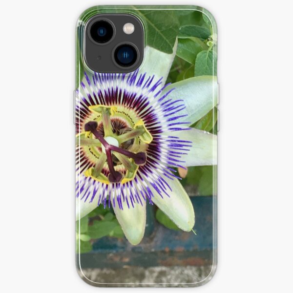 iPhone 14 - Soft