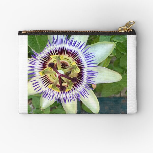 Zipper Pouch