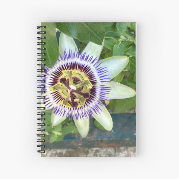 Spiral Notebook