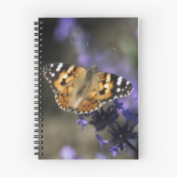 Item preview, The flight of the Galatea butterfly  designed and sold by ritadilalla.