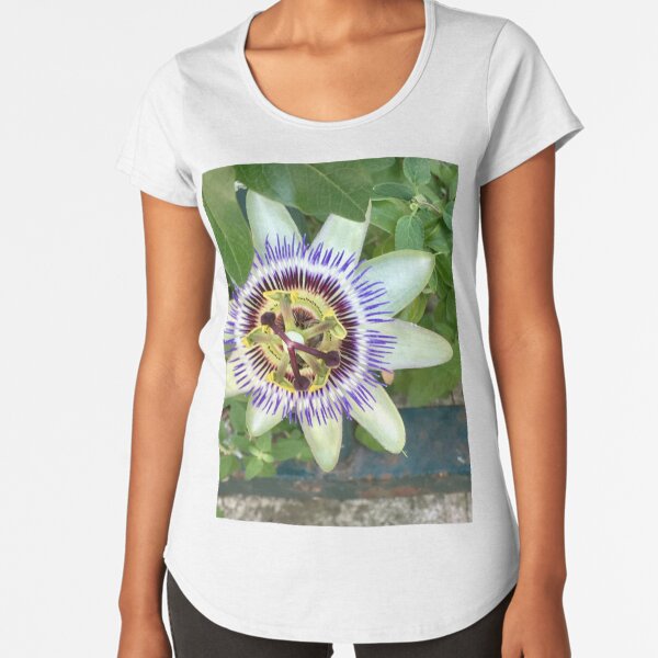 Premium Scoop T-Shirt