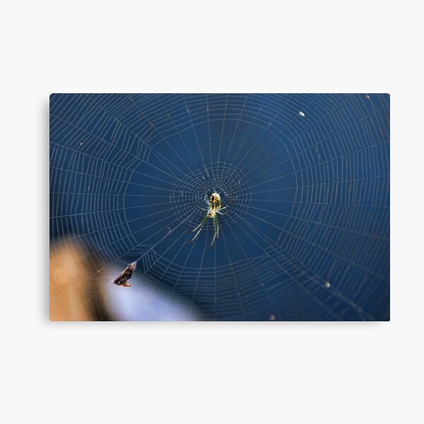Item preview, Little Green Spider designed and sold by Rick  Friedle.