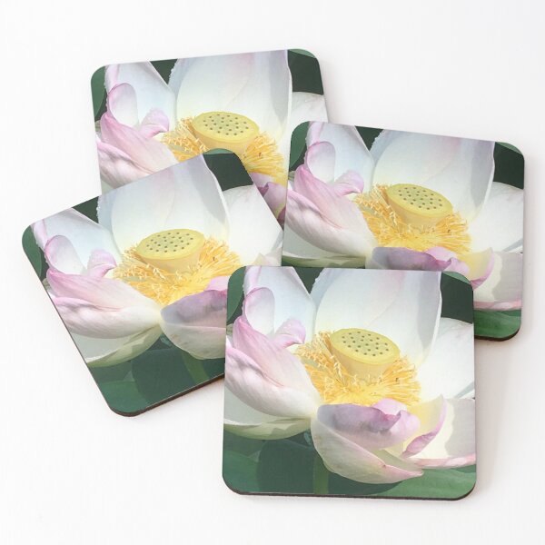 Coasters