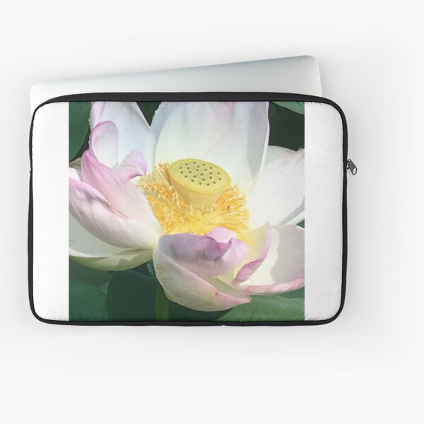 Laptop Sleeve