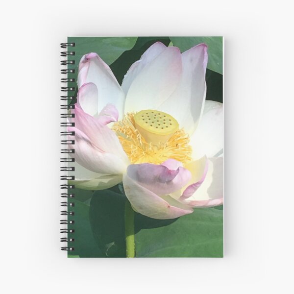 Spiral Notebook