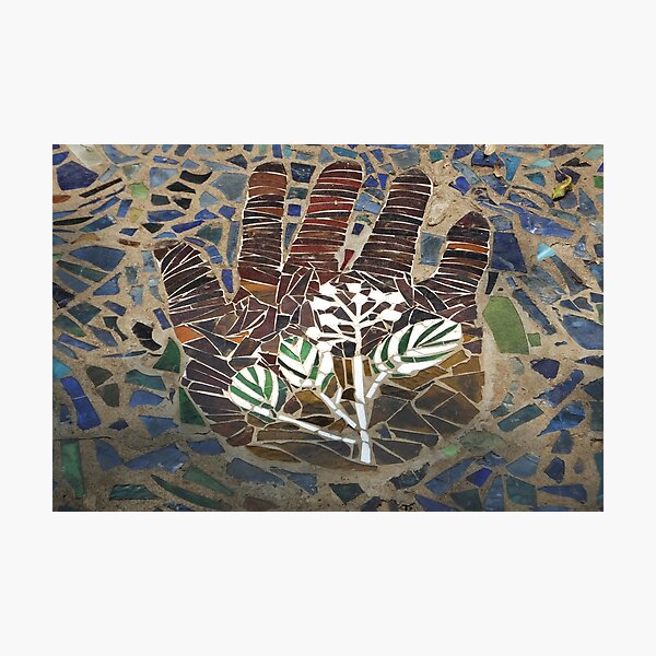 Photographic Print