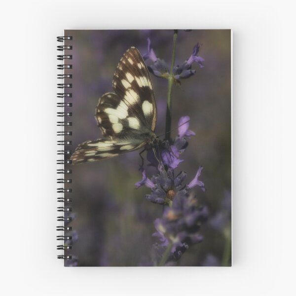 Item preview, The flight of the Galatea butterfly  designed and sold by ritadilalla.