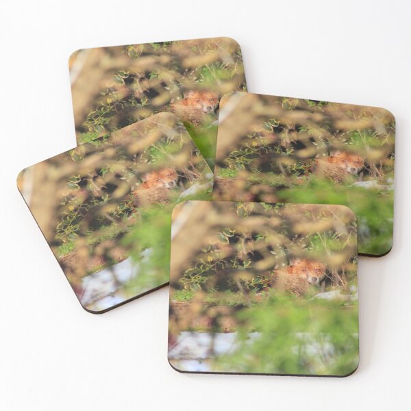 Item preview, Hiding designed and sold by Vicki Spindler (VHS Photography).