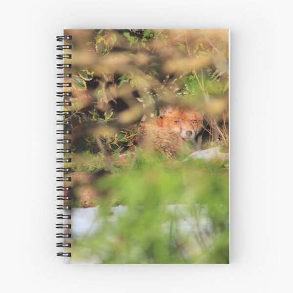 Item preview, Hiding designed and sold by Vicki Spindler (VHS Photography).