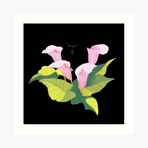 Sorry (Calla Lily) Art Print