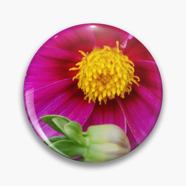 Pin Button