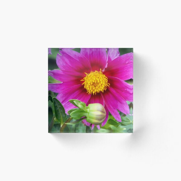 Acrylic Block