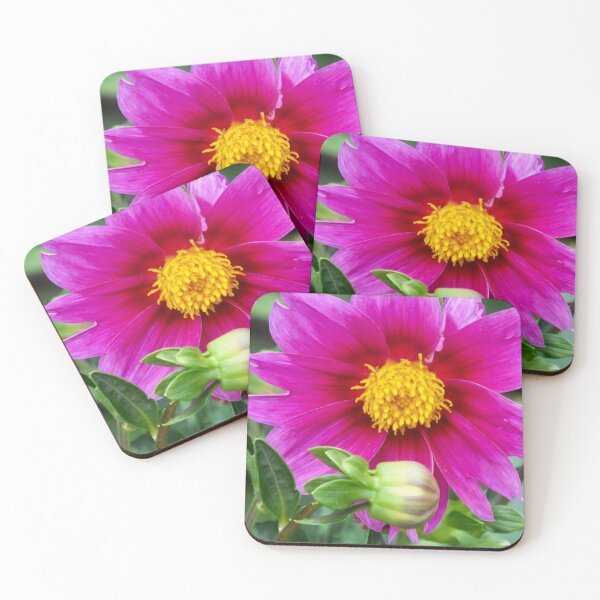 Coasters