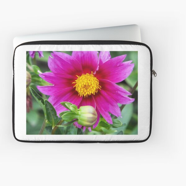 Laptop Sleeve